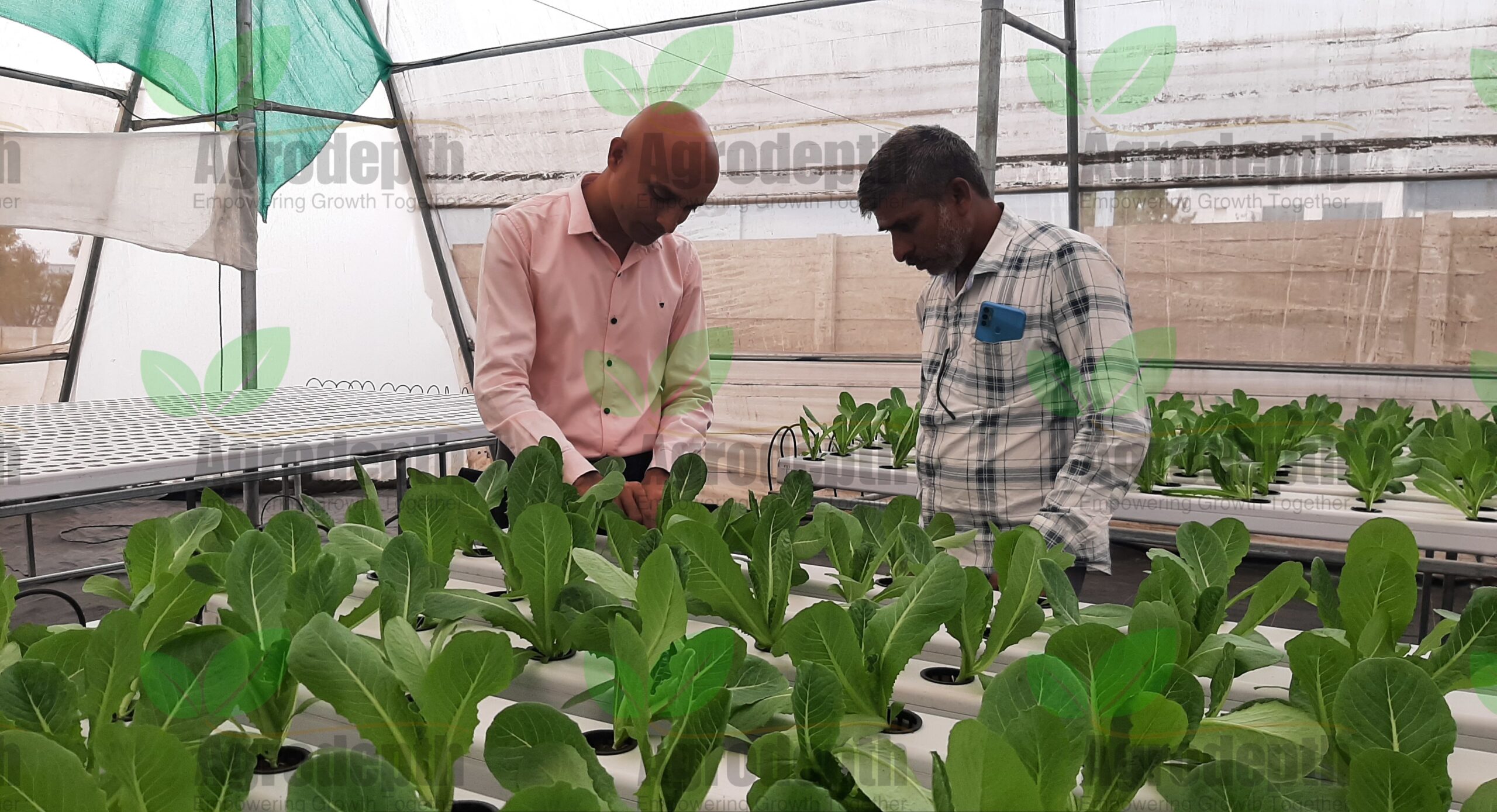 20241225_165653-1-scaled