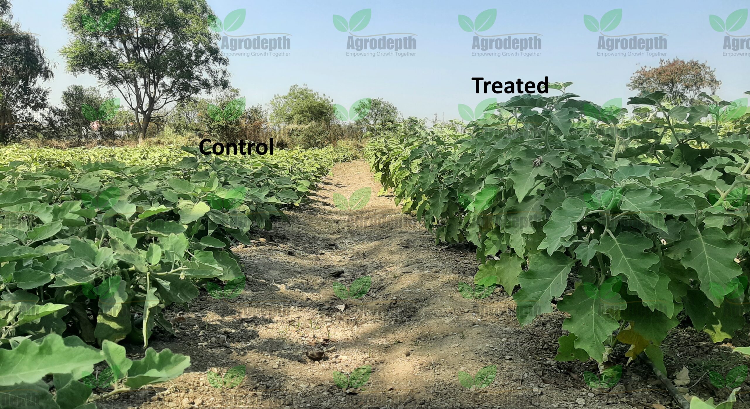 20250221_144055-scaled