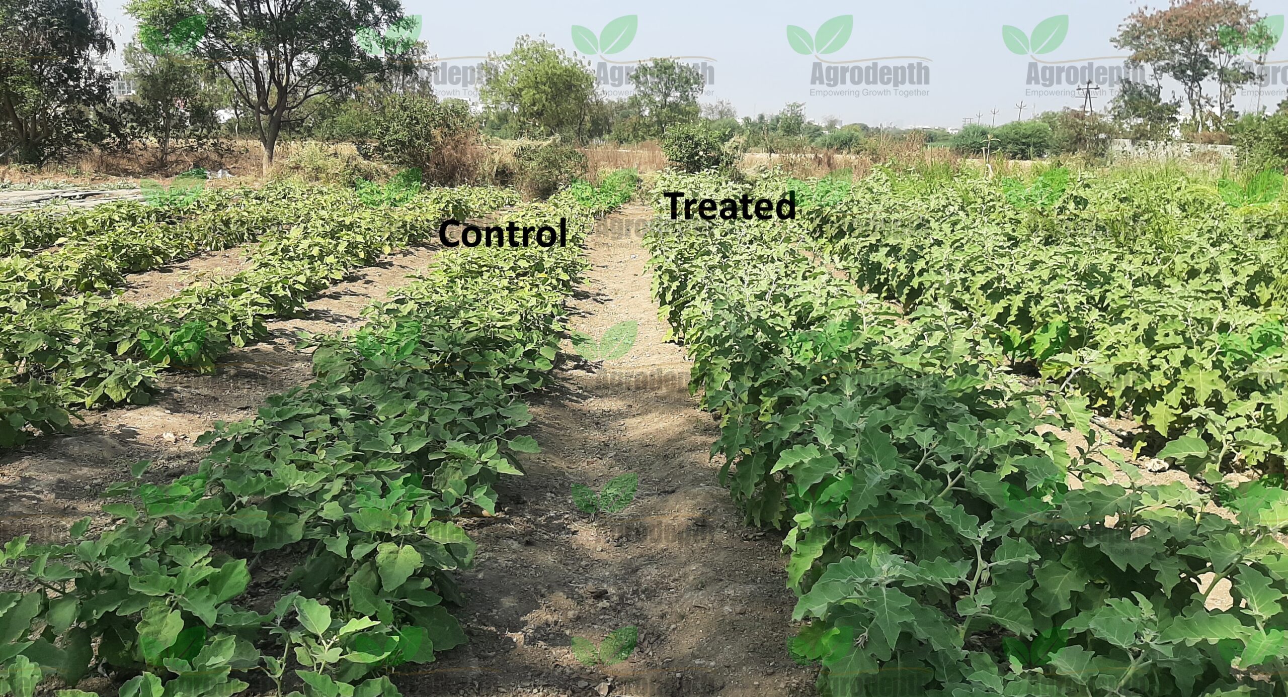 20250221_144103-scaled